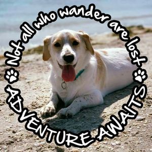 Meet your Posher, Brandy